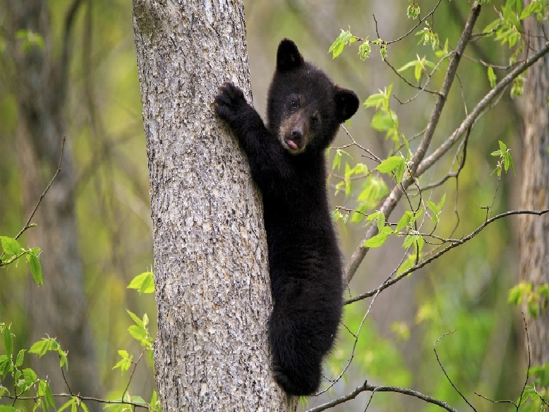 合肥惜缘试管代生机构：怀二胎孕吐反应特大，和孕妇自身以及胎儿都有关